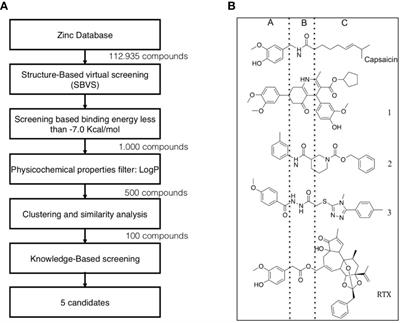 Novel TRPV1 Channel Agonists With Faster and More Potent Analgesic Properties Than Capsaicin